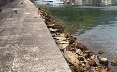 海風に吹かれてsea's inn二木島