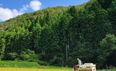 A Lodge to Enjoy Mystery Nights in Miyama
