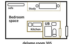 delamo room305