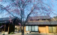 三太夫【SUNDAY】