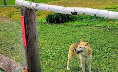 OMOTENASHI LODGE You-you for 1 group per day only