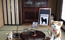 秋田犬が暮らす民泊 角館・武家屋敷 縁enishi