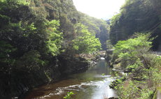 民泊 茶寮 やませみ