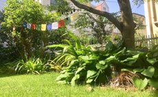 ガーデンビュー和室