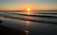 ガーデンビュー和室