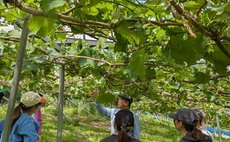 农场住宿的出生地【Ajimi-in】租住一座老房子当秘密基地【全套炭烧烤设备】大分县美国市