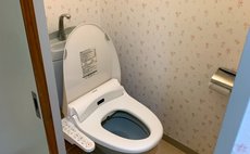 201 Bigustone tsukuda