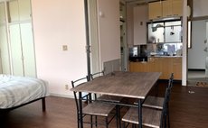 201 Bigustone tsukuda