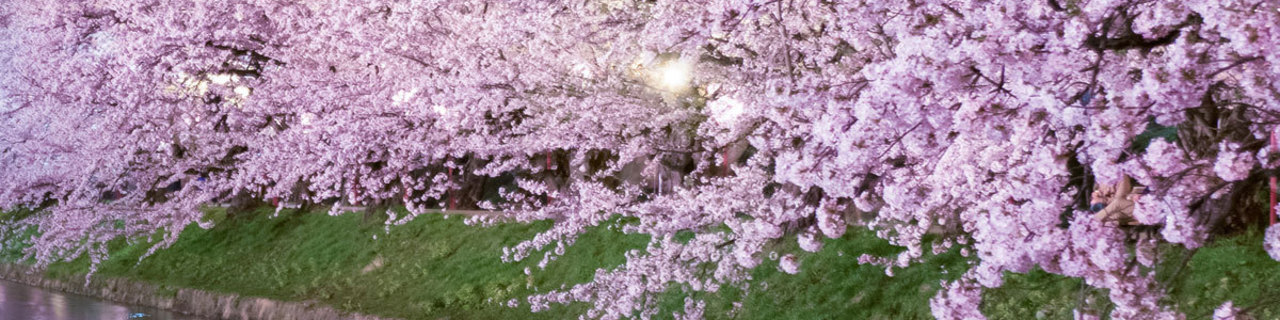 弘前さくらまつり