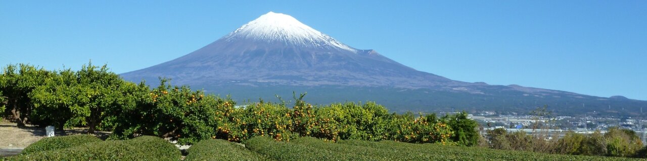 Mt. Fuji View Stays