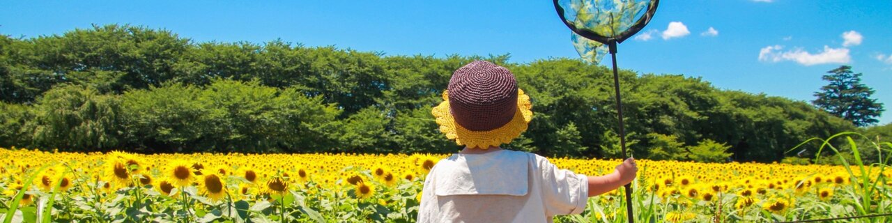 夏休みの体験の宿