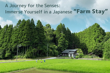 A Journey for the Senses:Immerse Yourself in a Japanese"Farm Stay"